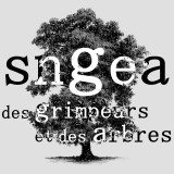 sngea