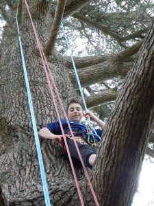 Escalade d'un arbre géant : pause sur une branche !