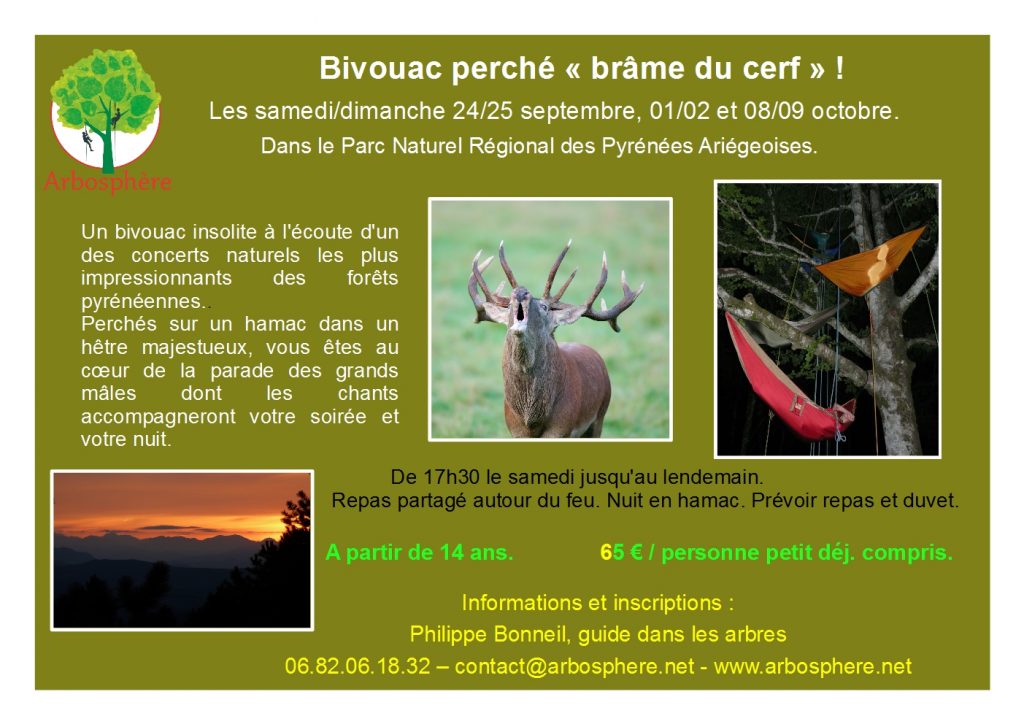 flyer bivouac brâme 2