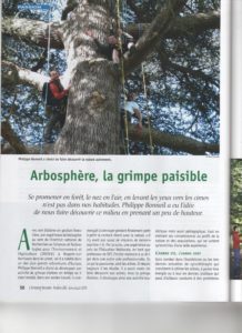 Grimpe d'arbres Ariège Pyrénées