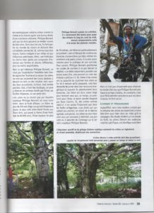 Grimpe d'arbres Ariège Pyrénées