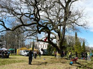 rencontres régionales d'arboriculture 2017 - Mazères